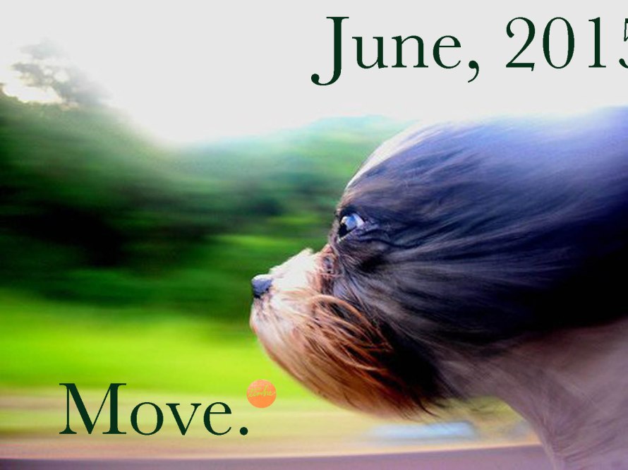 This dog moves